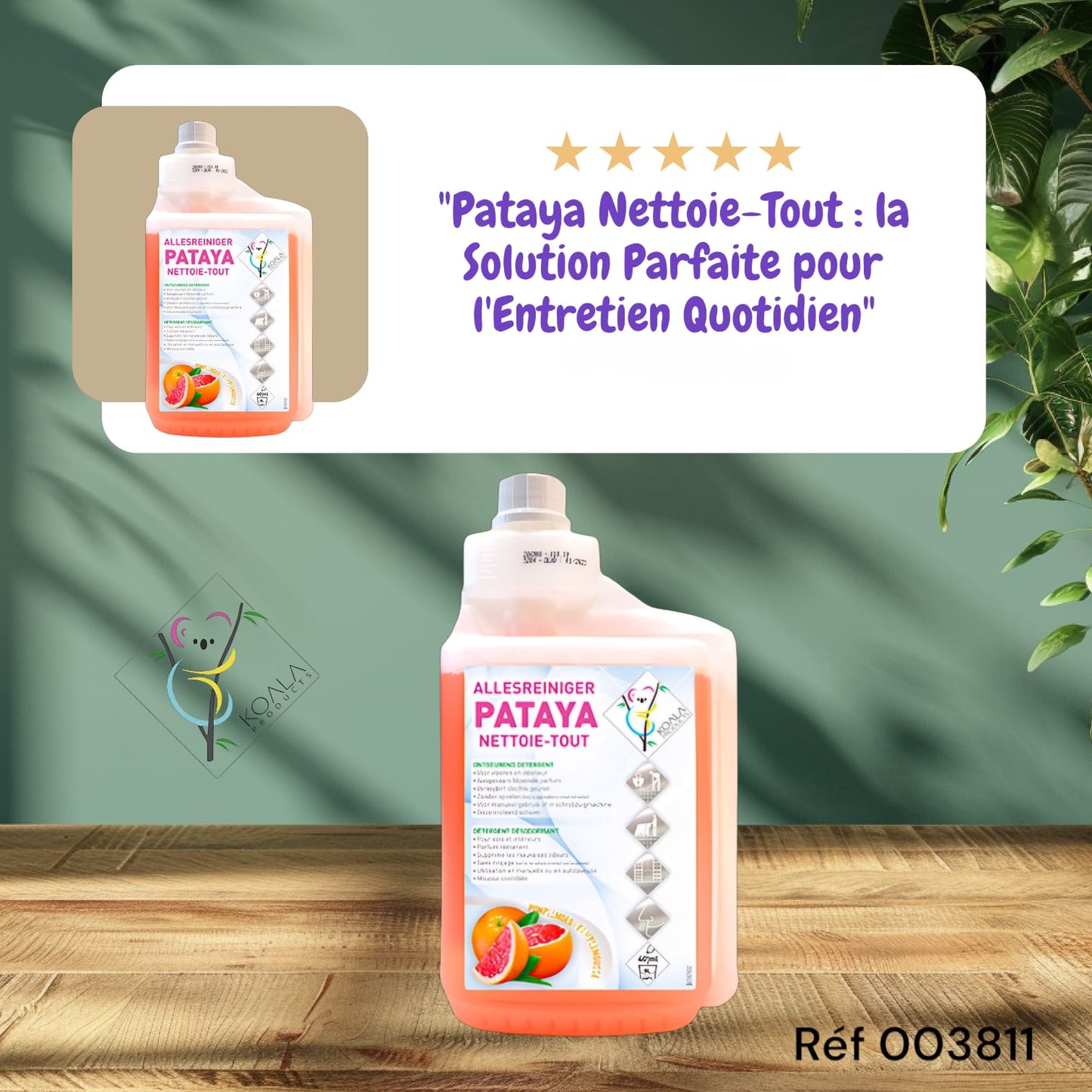 KOALA PATAYA NETTOIE-TOUT PAMPLEMOUSSE 1L