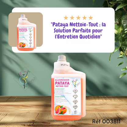 KOALA PATAYA NETTOIE-TOUT PAMPLEMOUSSE 1L